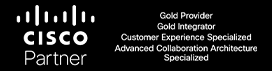 cisco-partner-gold-provide