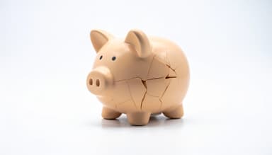 The hidden costs of disparate IT systems in education